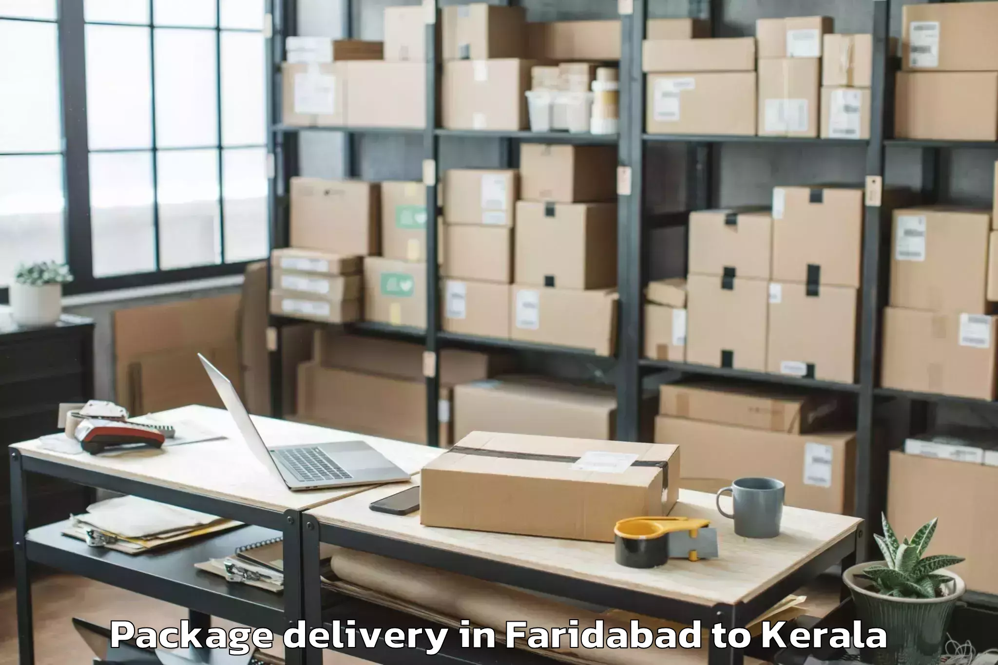 Affordable Faridabad to Cherpulassery Package Delivery